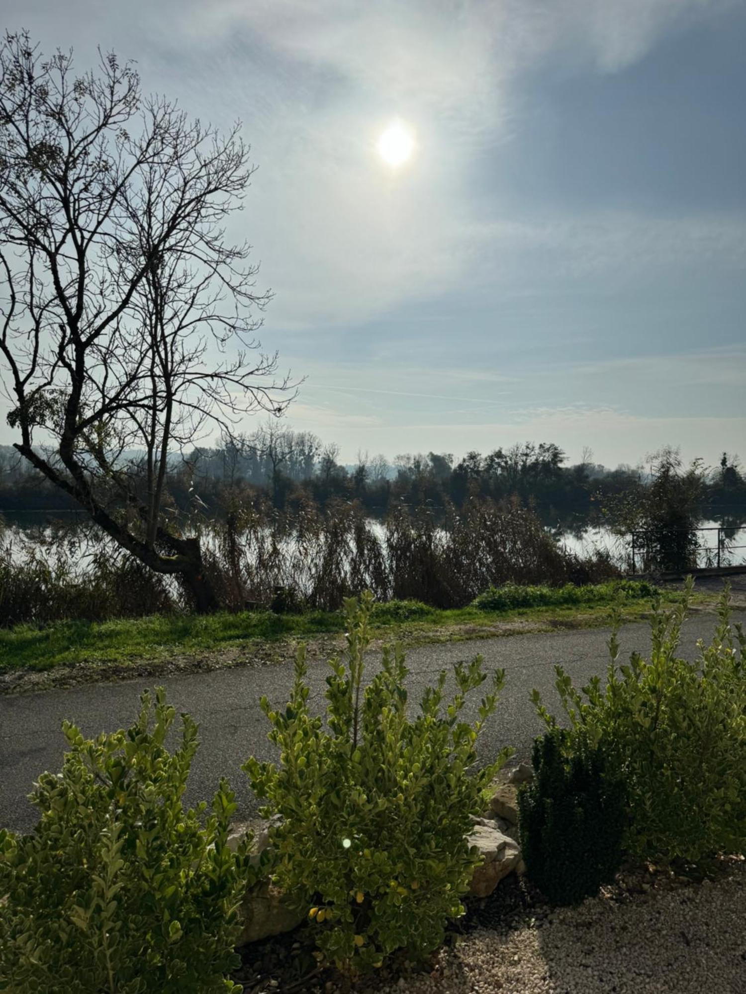 Maison Au Bord De L'Eau Les Roches Rochefort-sur-Nenon Dış mekan fotoğraf